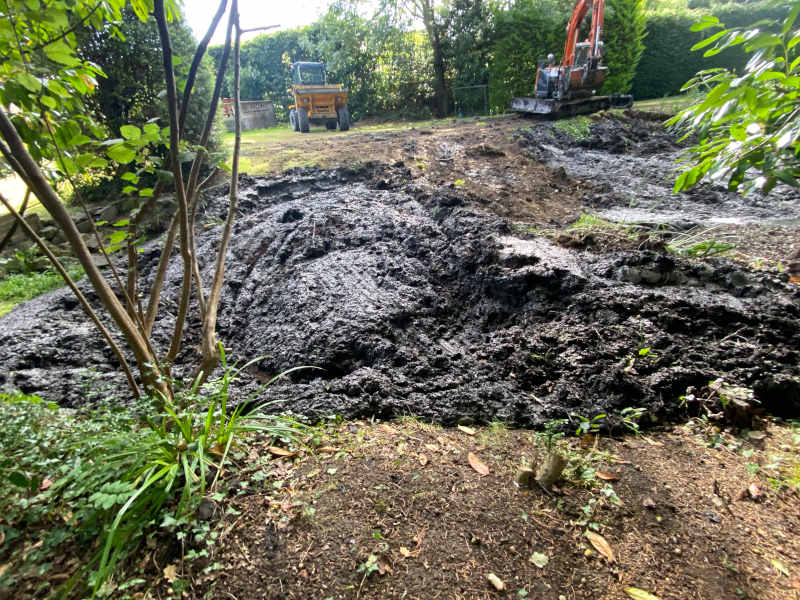 2026 Pond Clearance 04